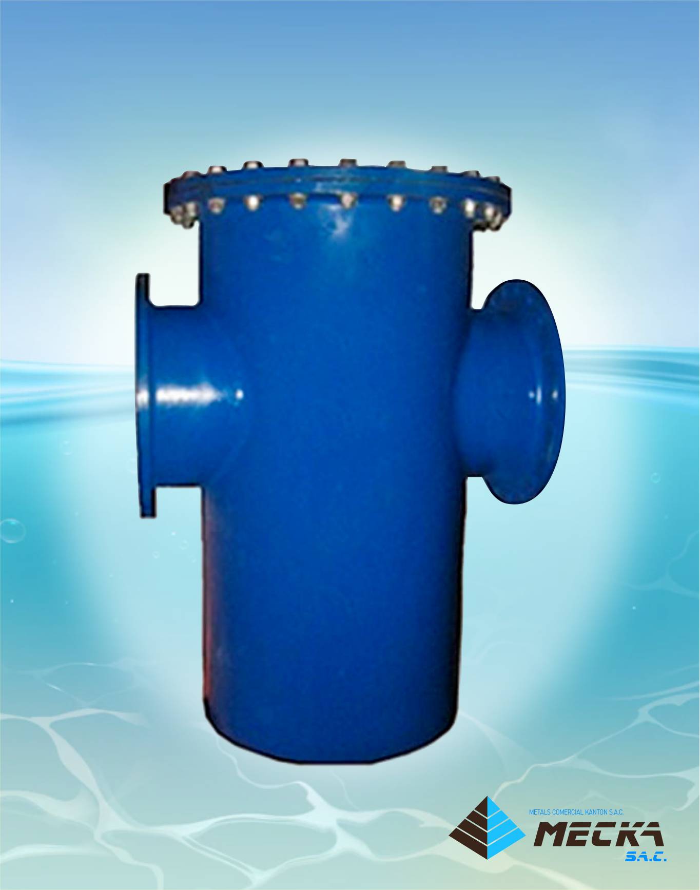 filtro bridado tipo canasta meckasac