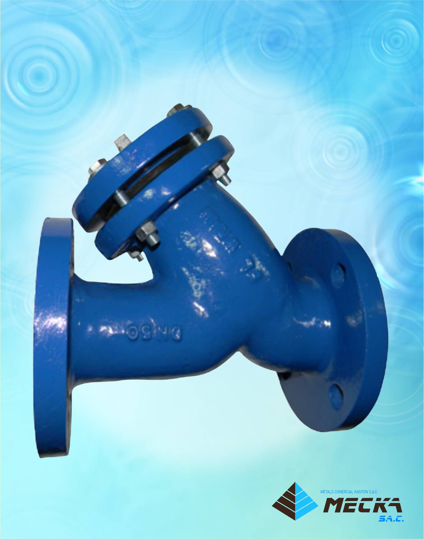 filtro tipo-Y-meckasac